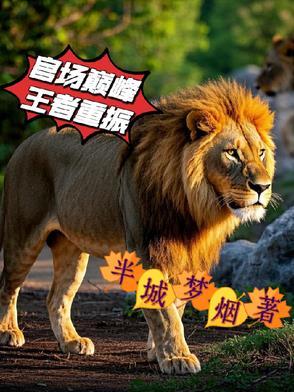 官场巅峰 第569章