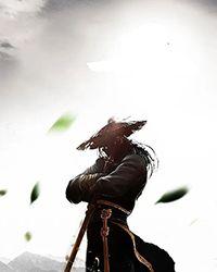 妙医鸿途人物简介